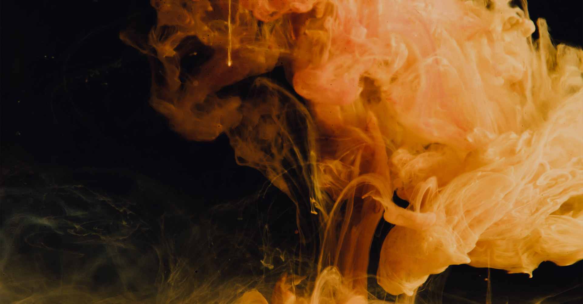 my-web-banner